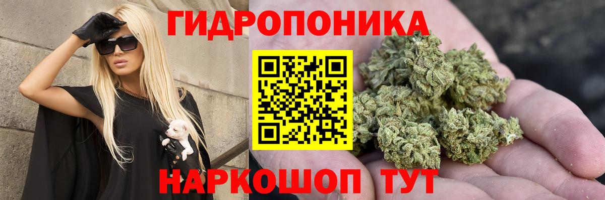Каннабис гибрид  Шишки марихуана план  Нефтеюганск  Вход с VPN 